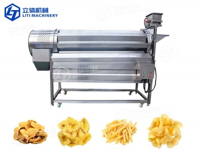 New Type Fully Automatic Drum Seasoning Line for Fried & Puffed Foods 300kg/h Capacity Snack Processing Machinery