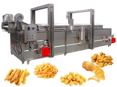 Stainless Steel Continuous Frying Machine New Gas Deep Fryer and Chips Maker for Chicken French Fries
