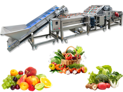 Vegetable cleaning andprocessing production line